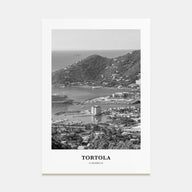 Tortola Portrait B&W Poster