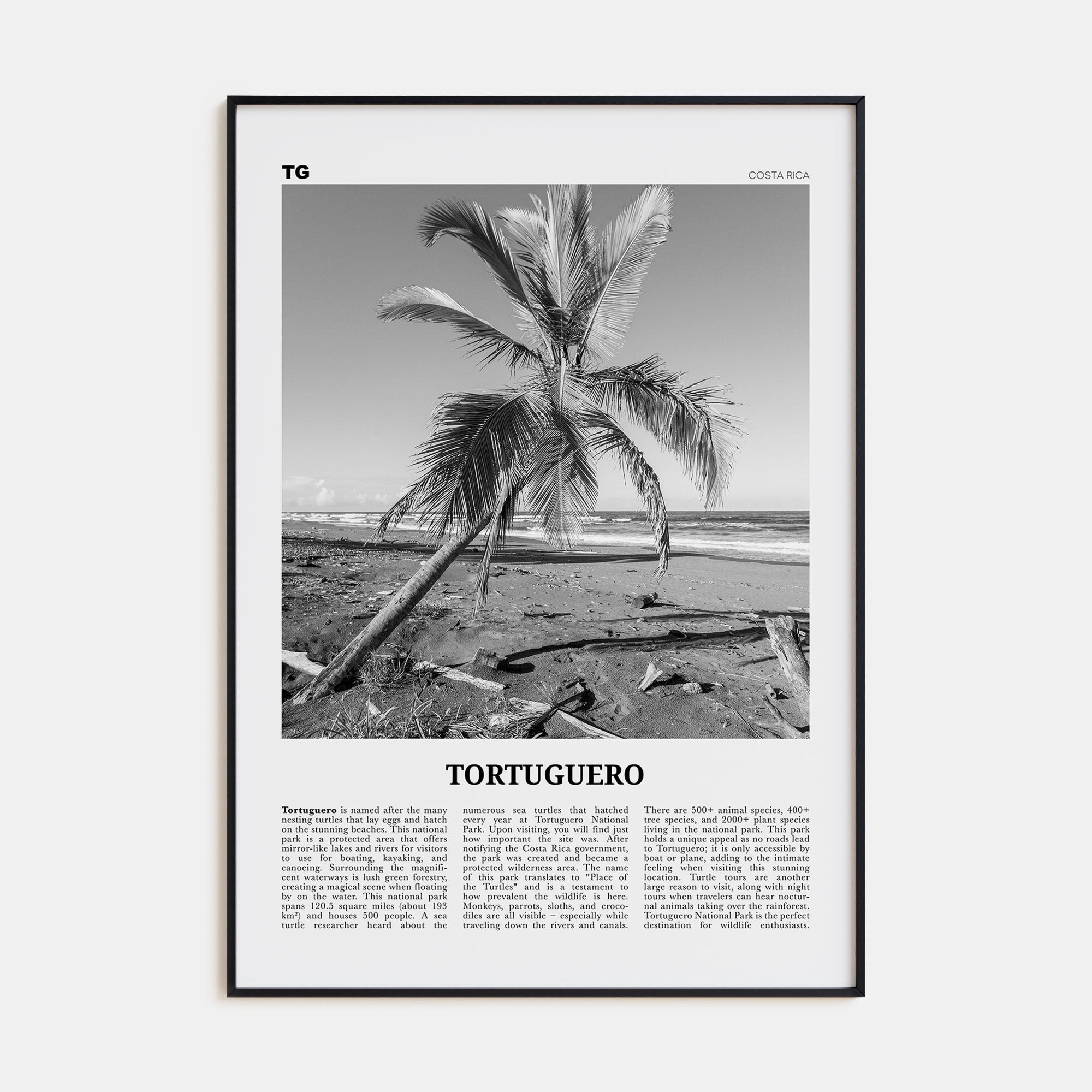Tortuguero Travel B&W Poster