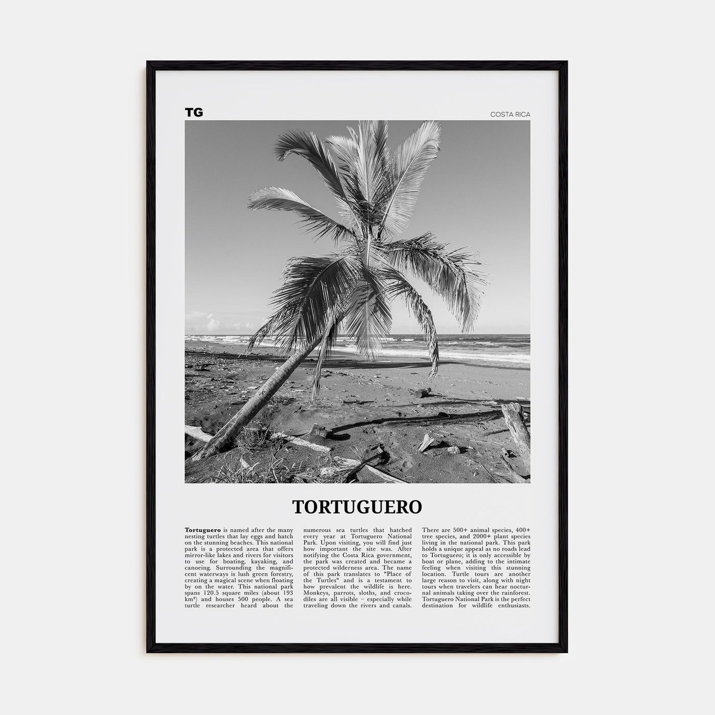 Tortuguero Travel B&W Poster