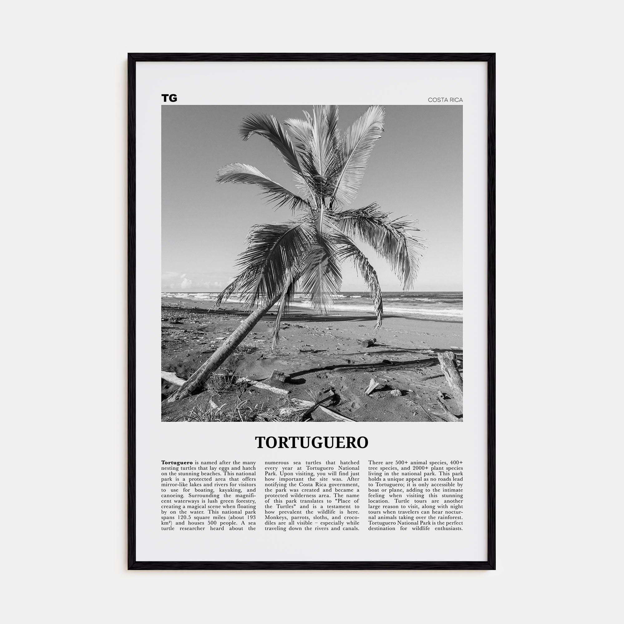 Tortuguero Travel B&W Poster