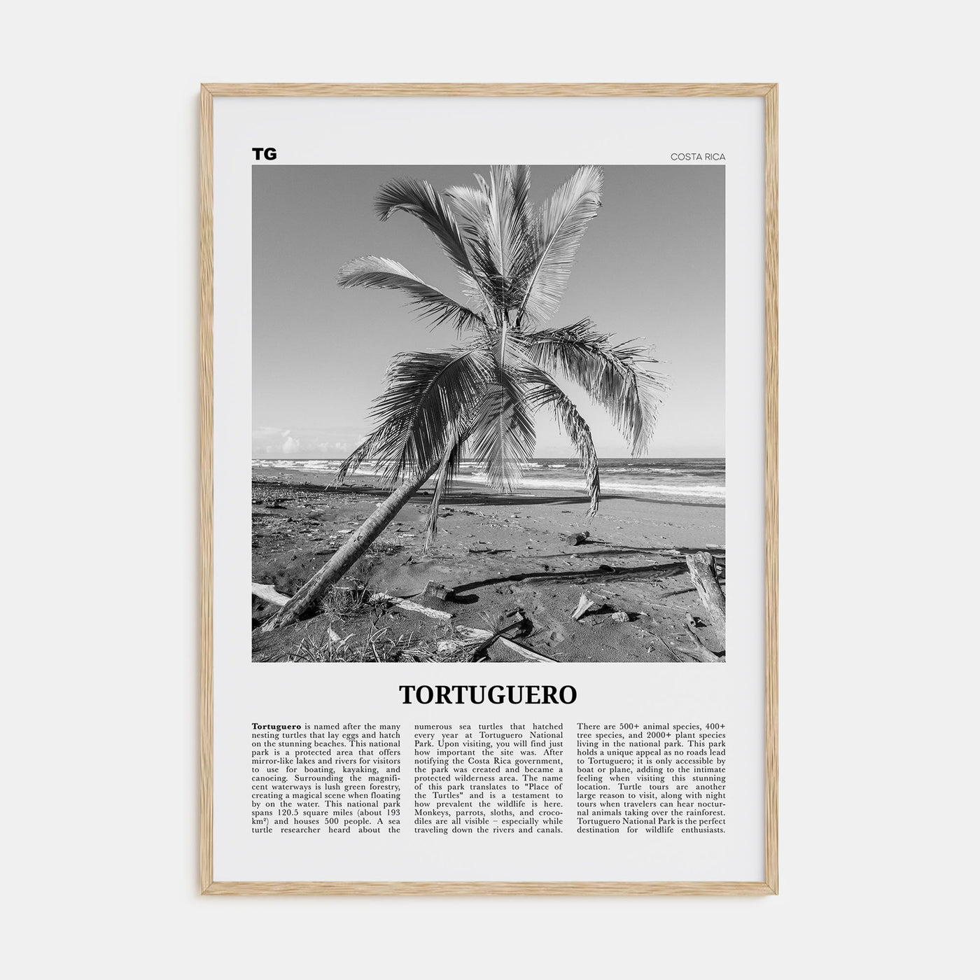 Tortuguero Travel B&W Poster