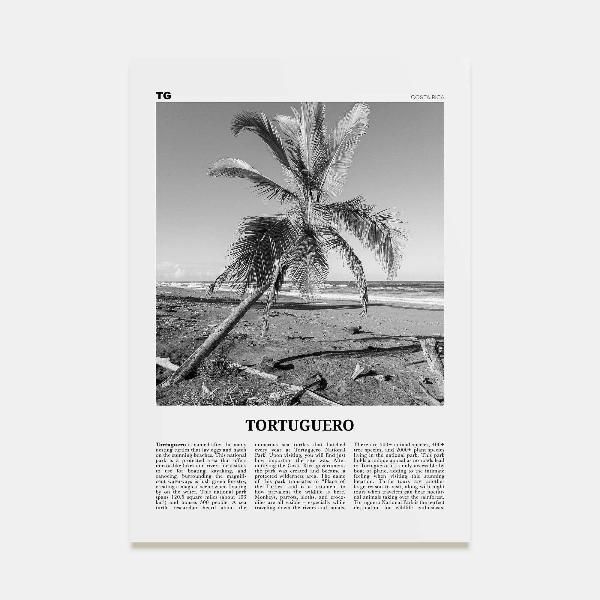 Tortuguero Travel B&W Poster