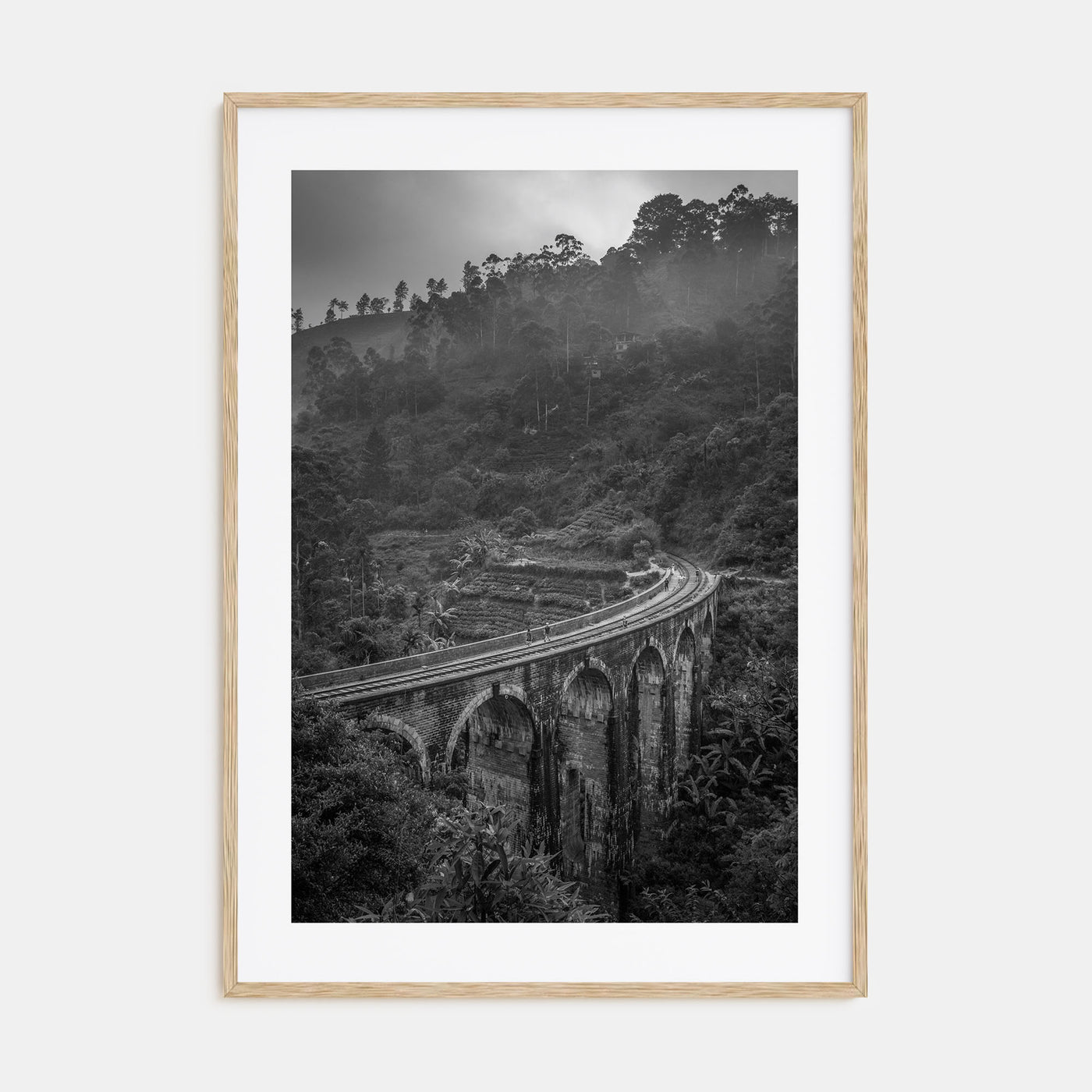 Train Arch Bridge Photo B&W No 1 Poster