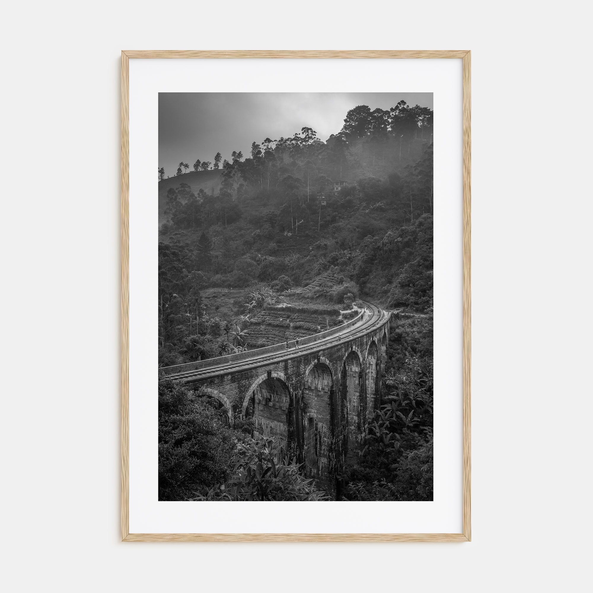 Train Arch Bridge Photo B&W No 1 Poster