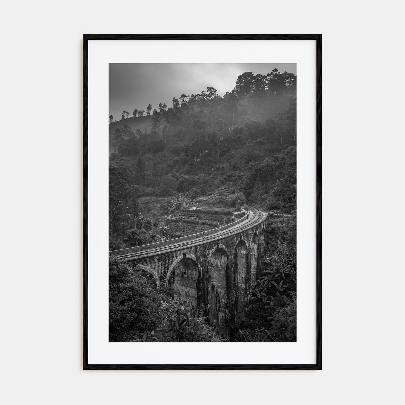 Train Arch Bridge Photo B&W No 1 Poster