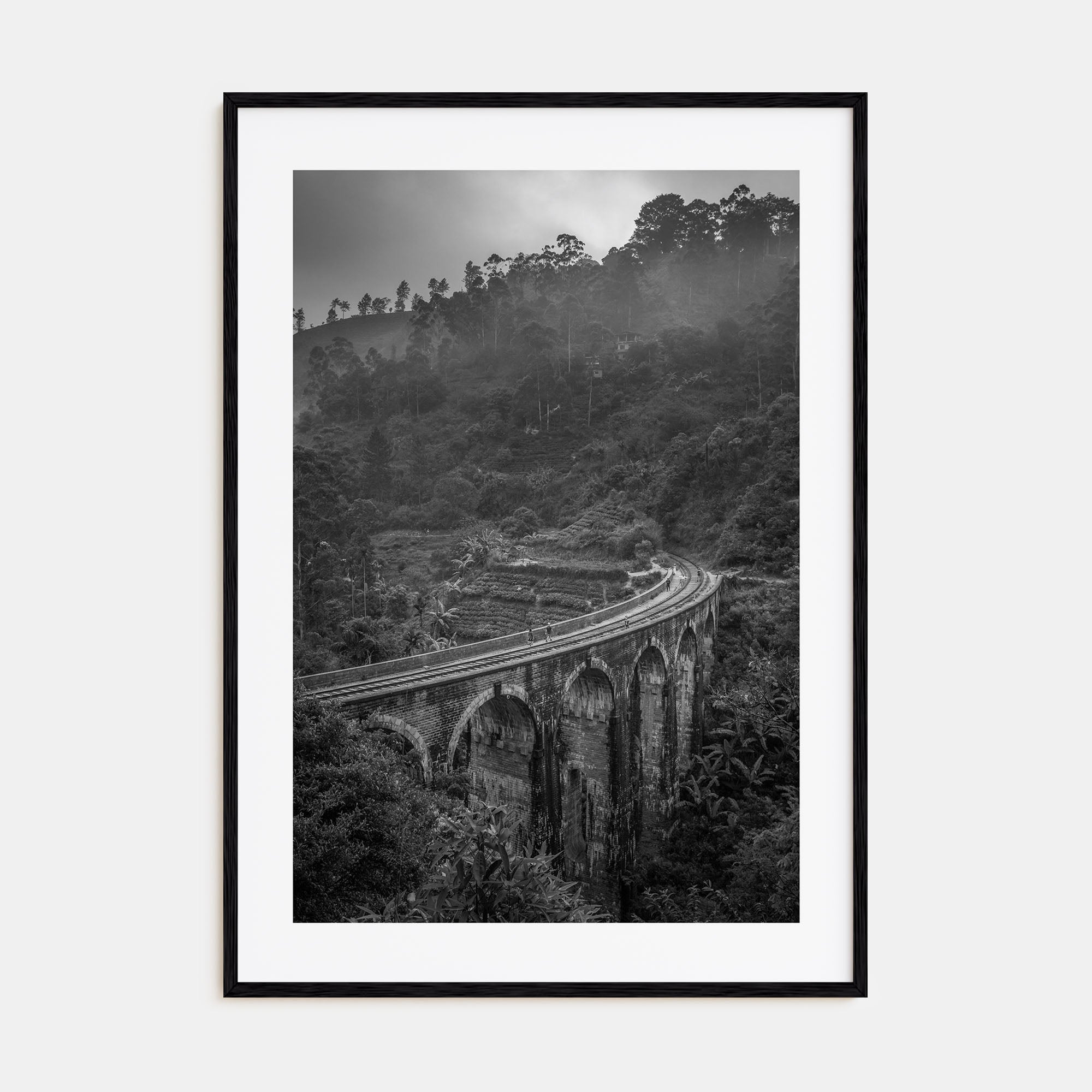 Train Arch Bridge Photo B&W No 1 Poster