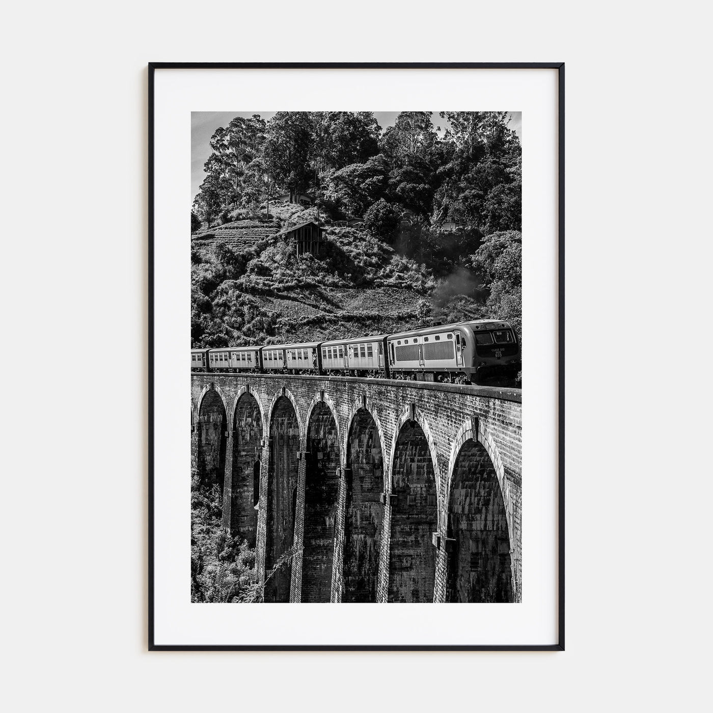 Train Arch Bridge Photo B&W No 2 Poster