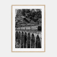 Train Arch Bridge Photo B&W No 2 Poster