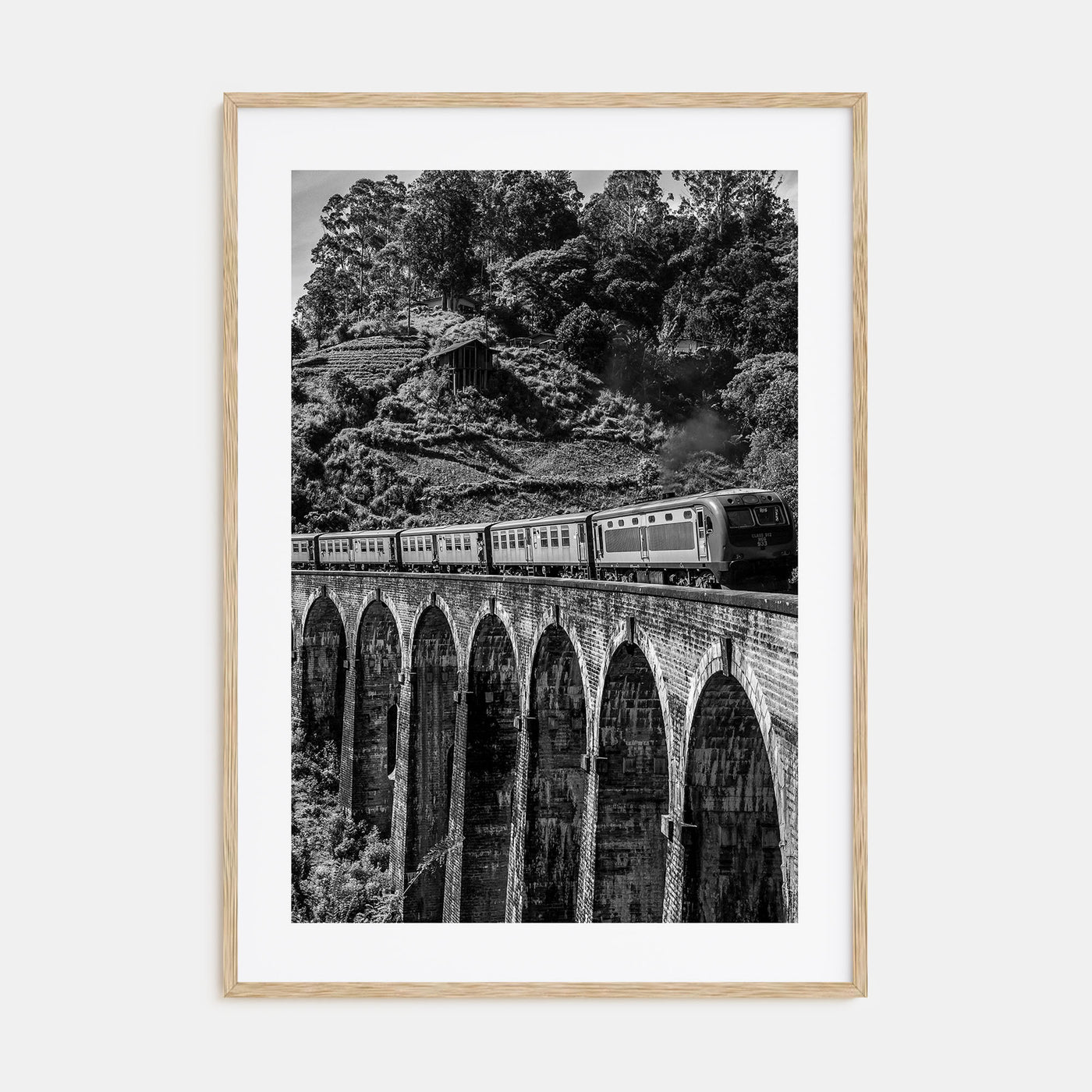 Train Arch Bridge Photo B&W No 2 Poster