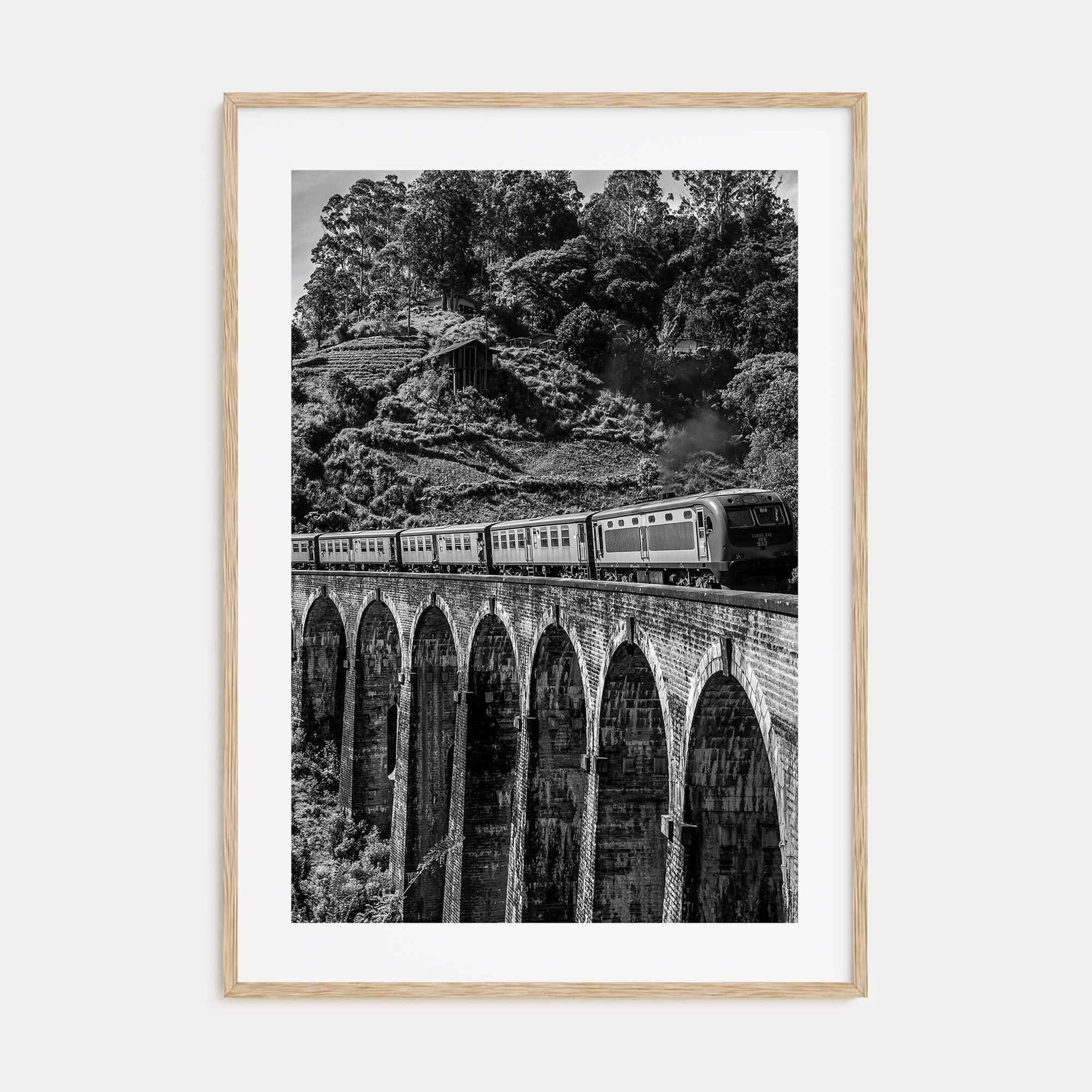 Train Arch Bridge Photo B&W No 2 Poster