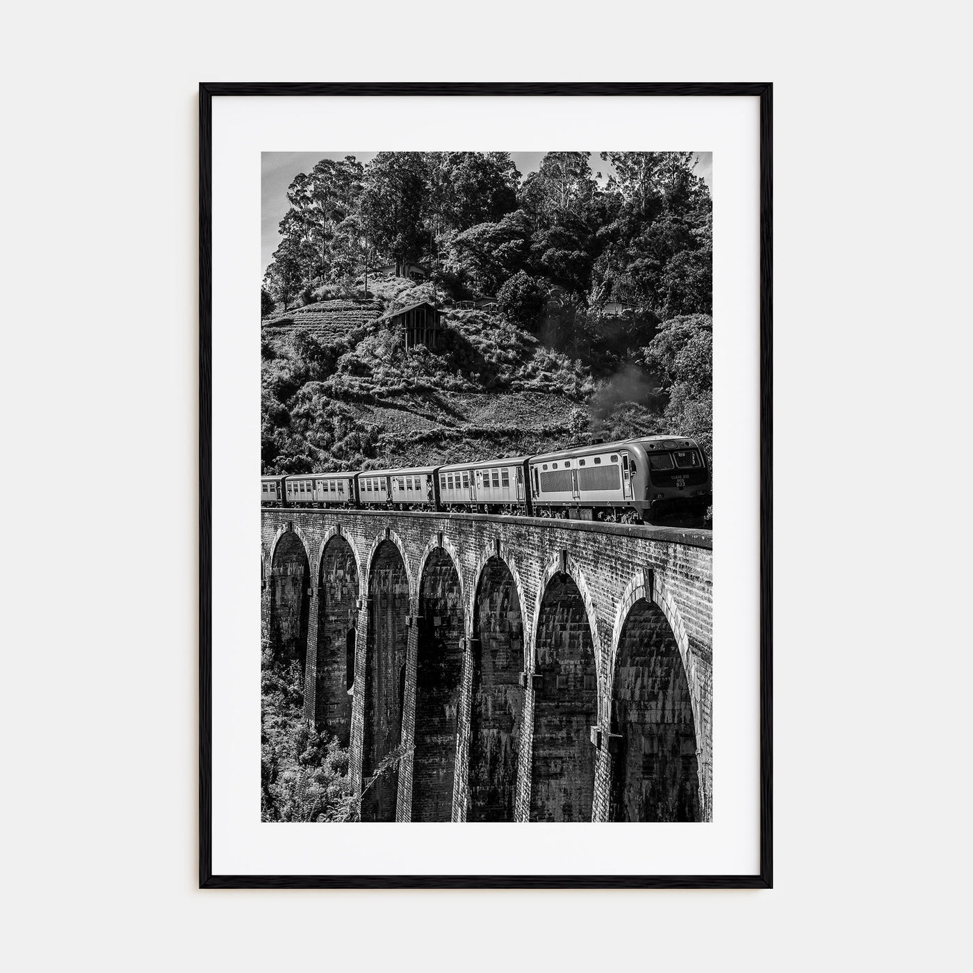 Train Arch Bridge Photo B&W No 2 Poster