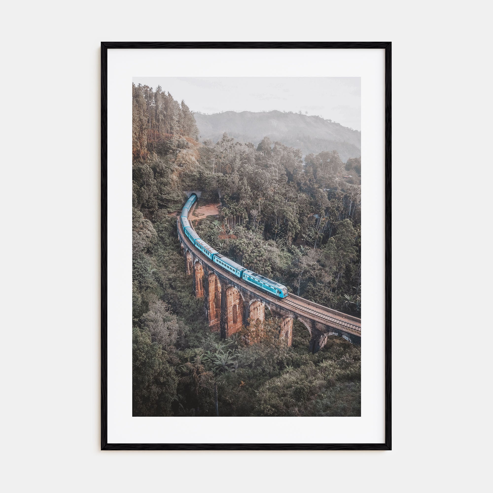 Train Arch Bridge Photo Color Poster