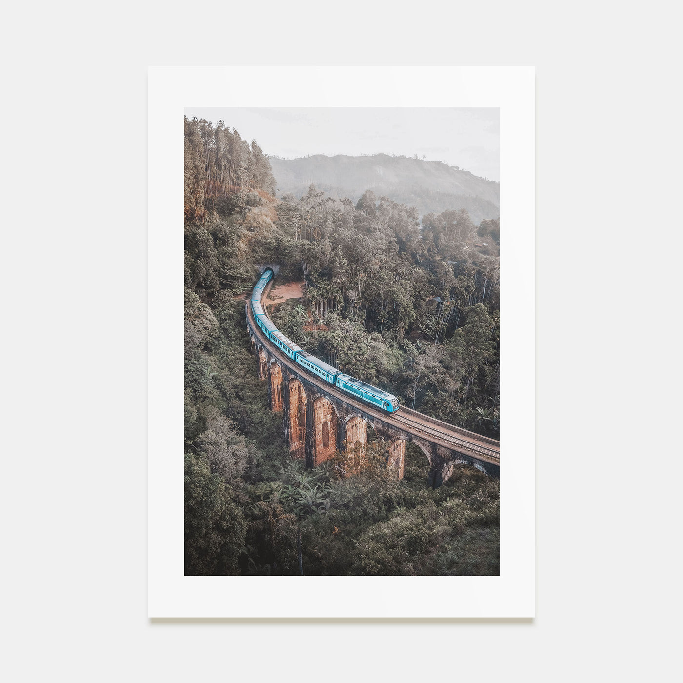 Train Arch Bridge Photo Color Poster