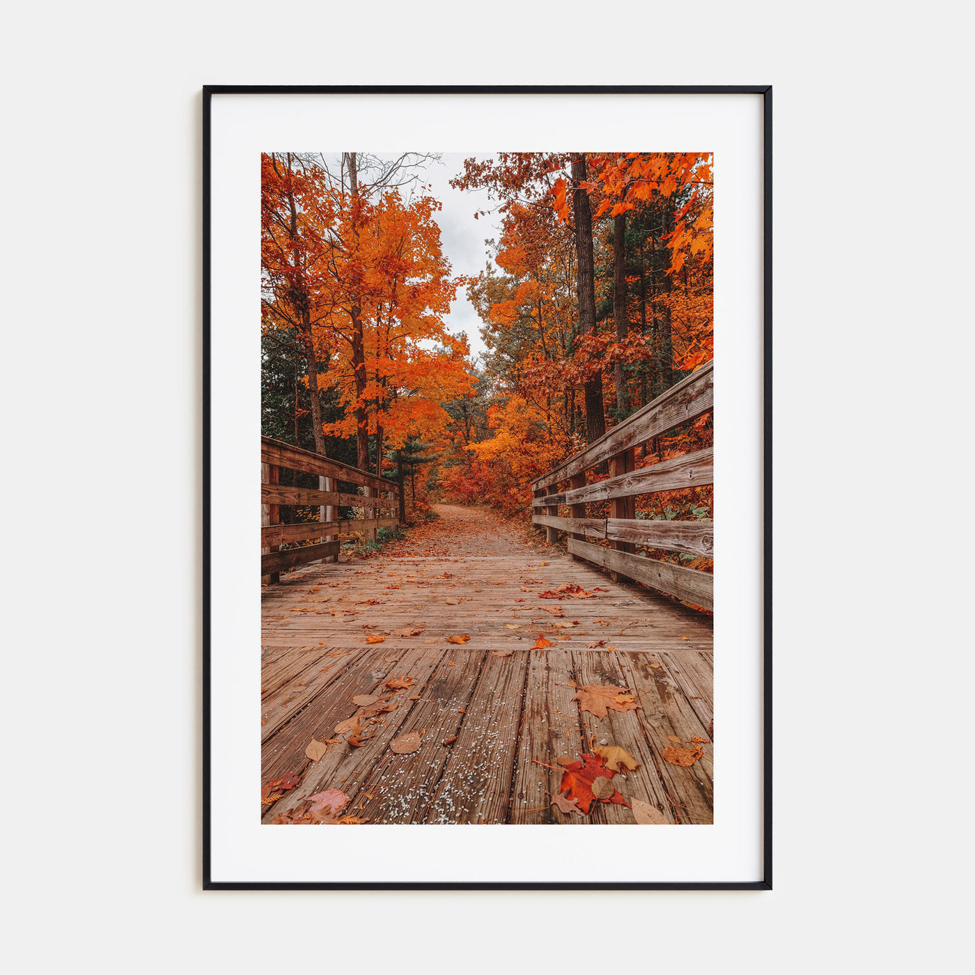 Traverse City Photo Color No 2 Poster