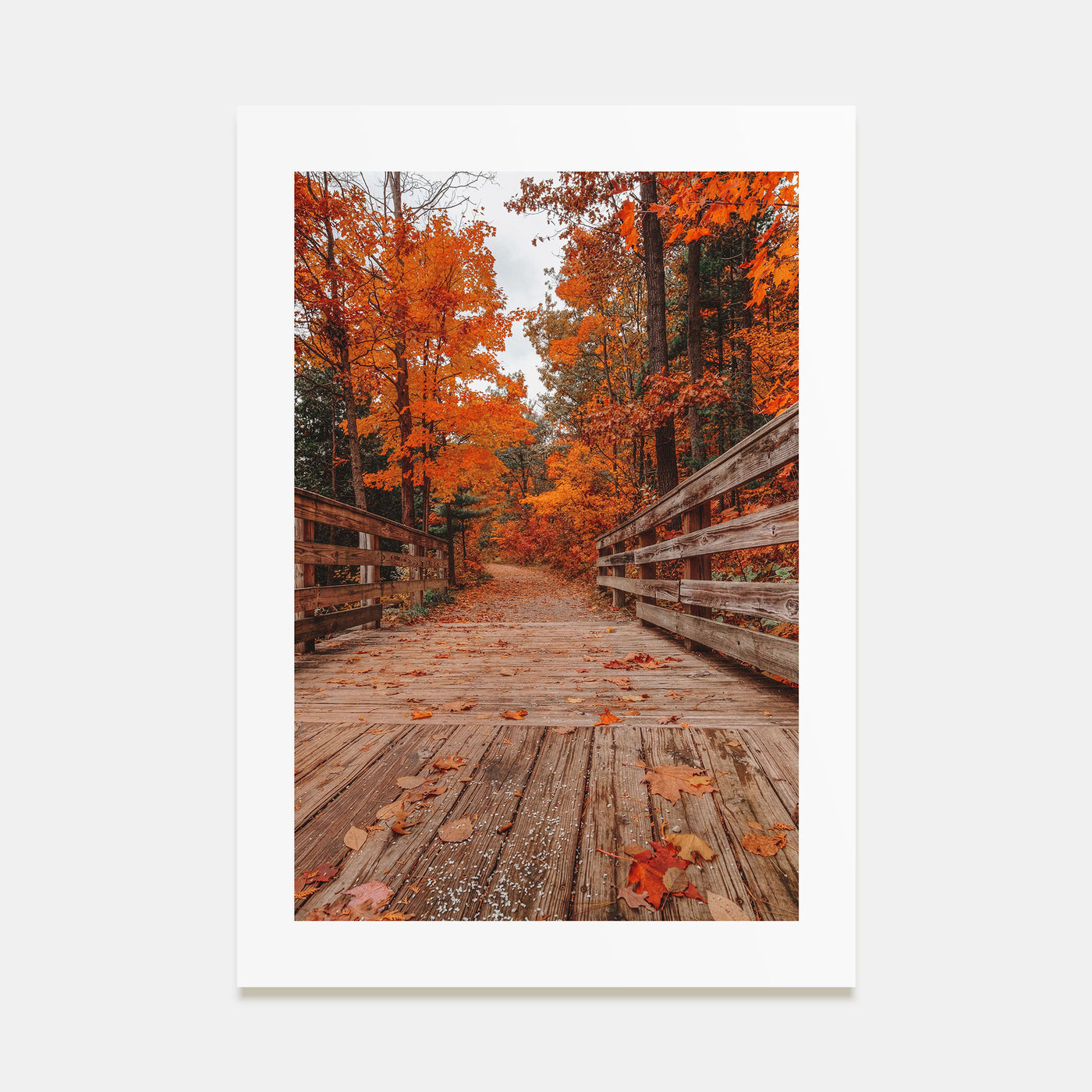 Traverse City Photo Color No 2 Poster