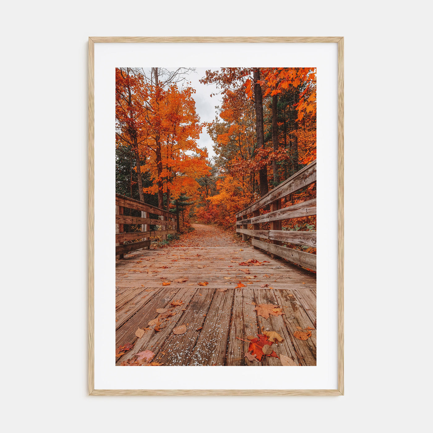 Traverse City Photo Color No 2 Poster