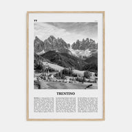 Trentino Travel B&W Poster