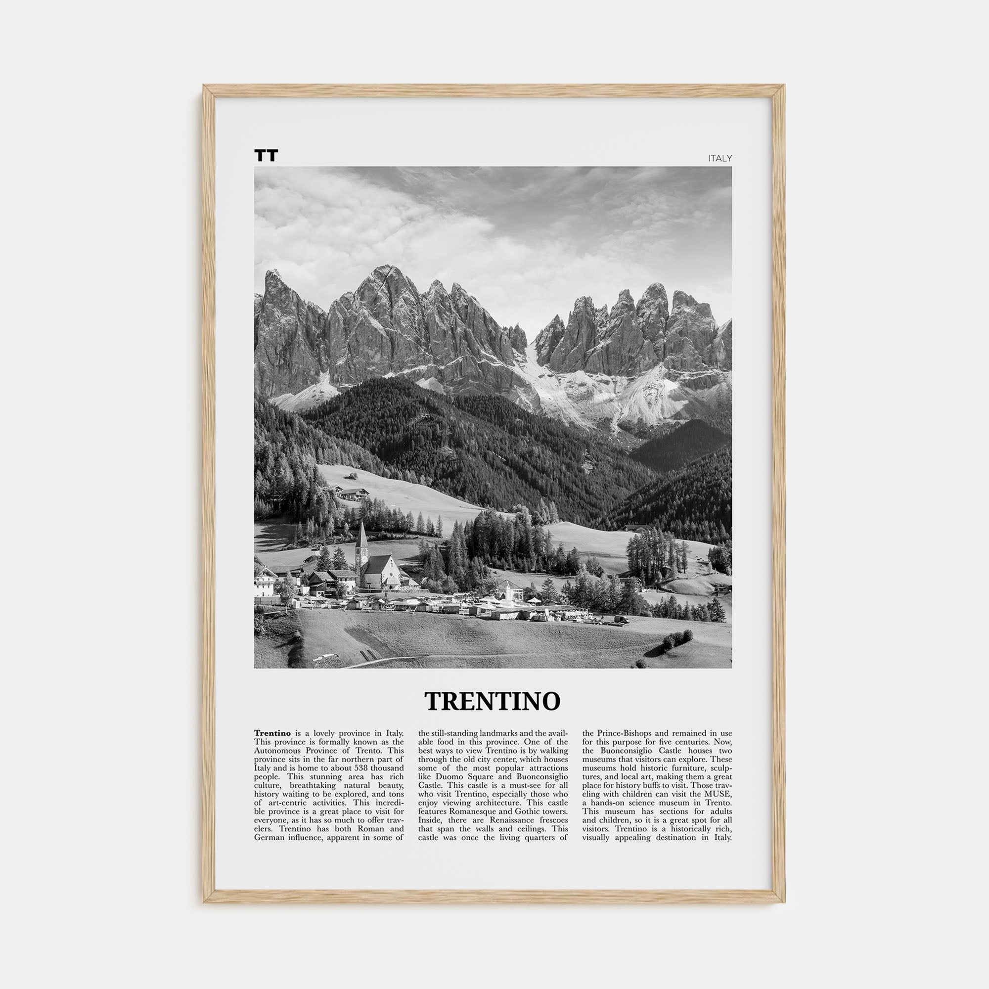 Trentino Travel B&W Poster