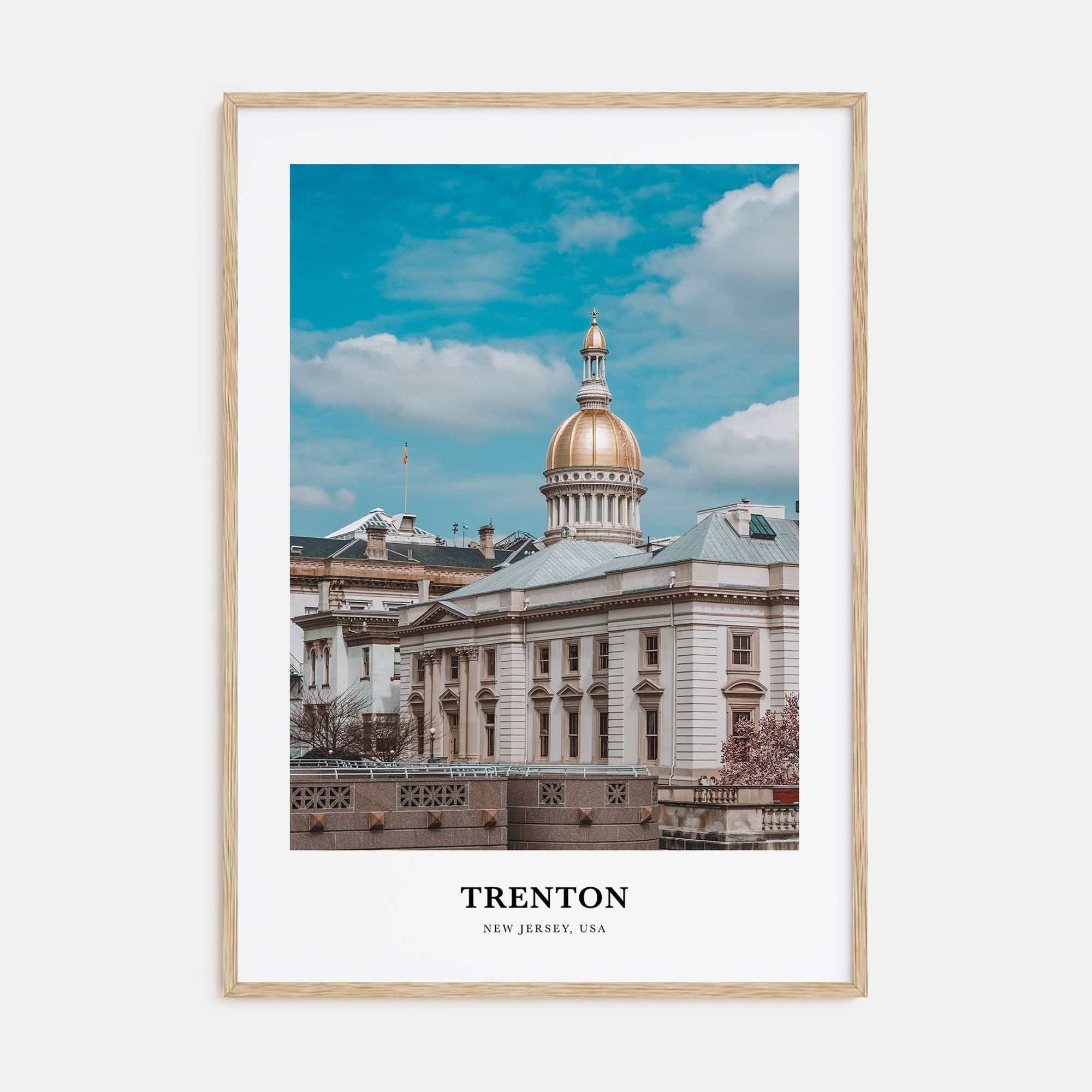 Trenton Portrait Color Poster