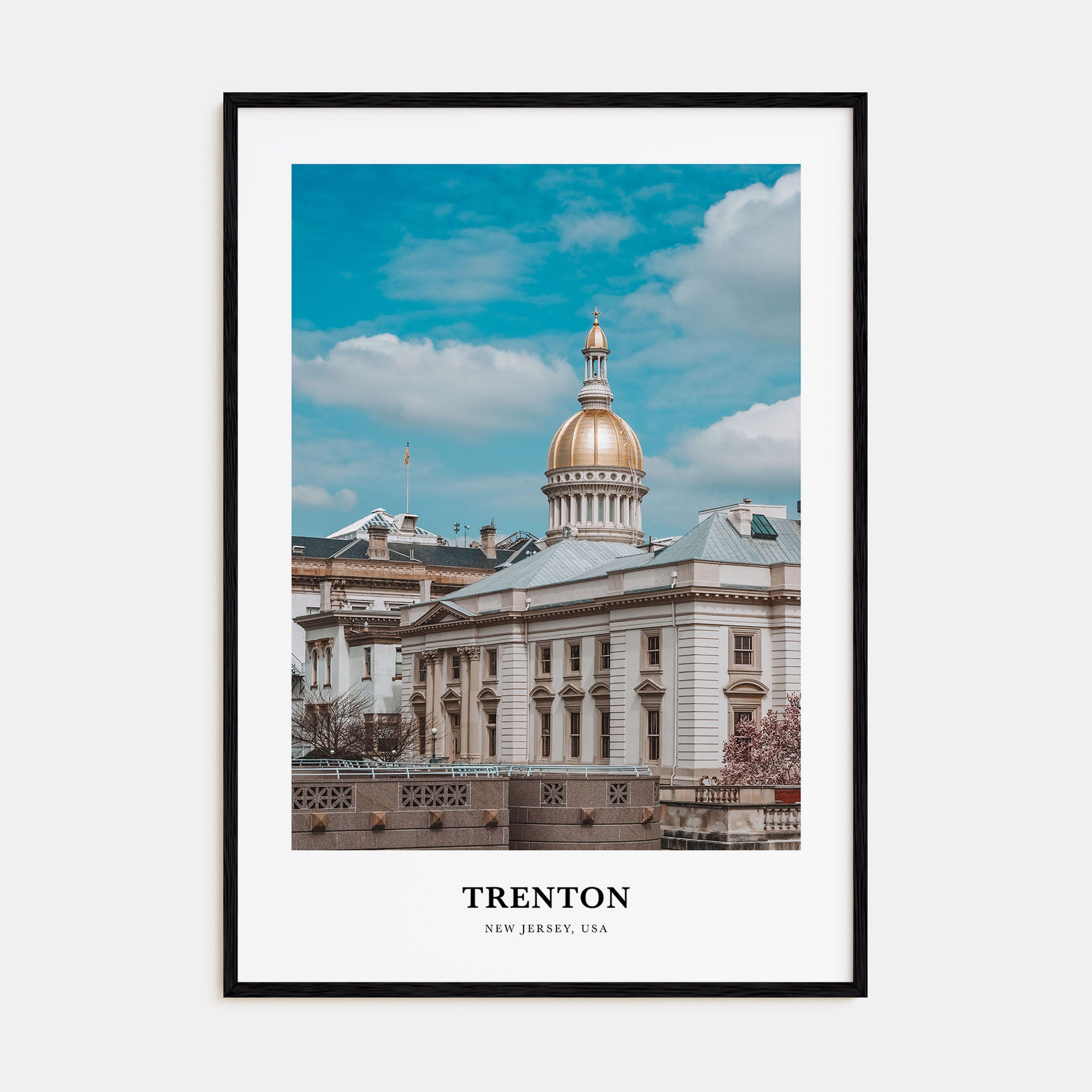 Trenton Portrait Color Poster