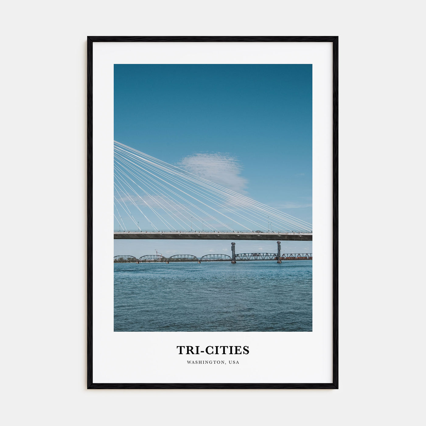 Tricities Portrait Color Poster