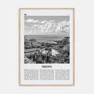 Trieste Travel B&W Poster