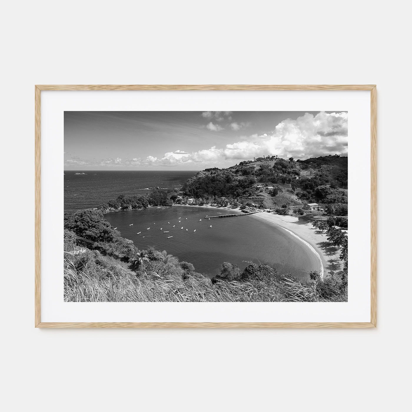 Trinidad and Tobago Landscape B&W Poster