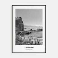 Trinidad Portrait B&W Poster