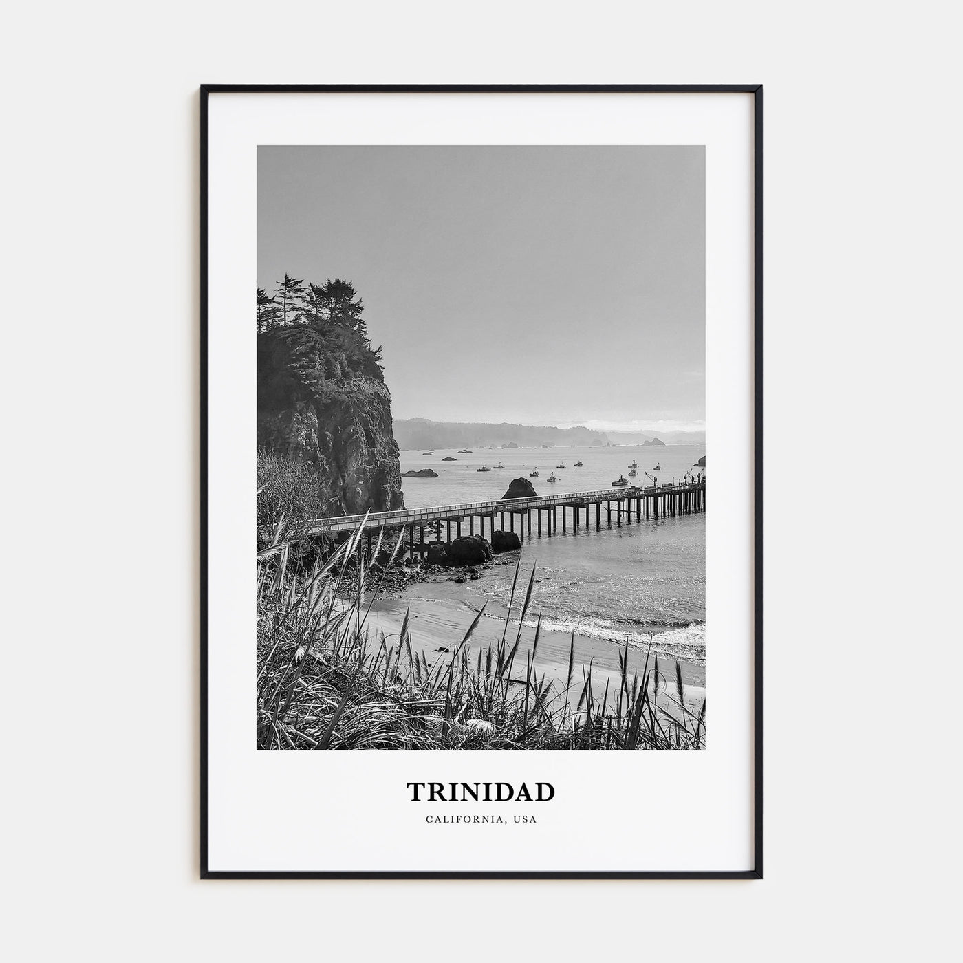 Trinidad Portrait B&W Poster