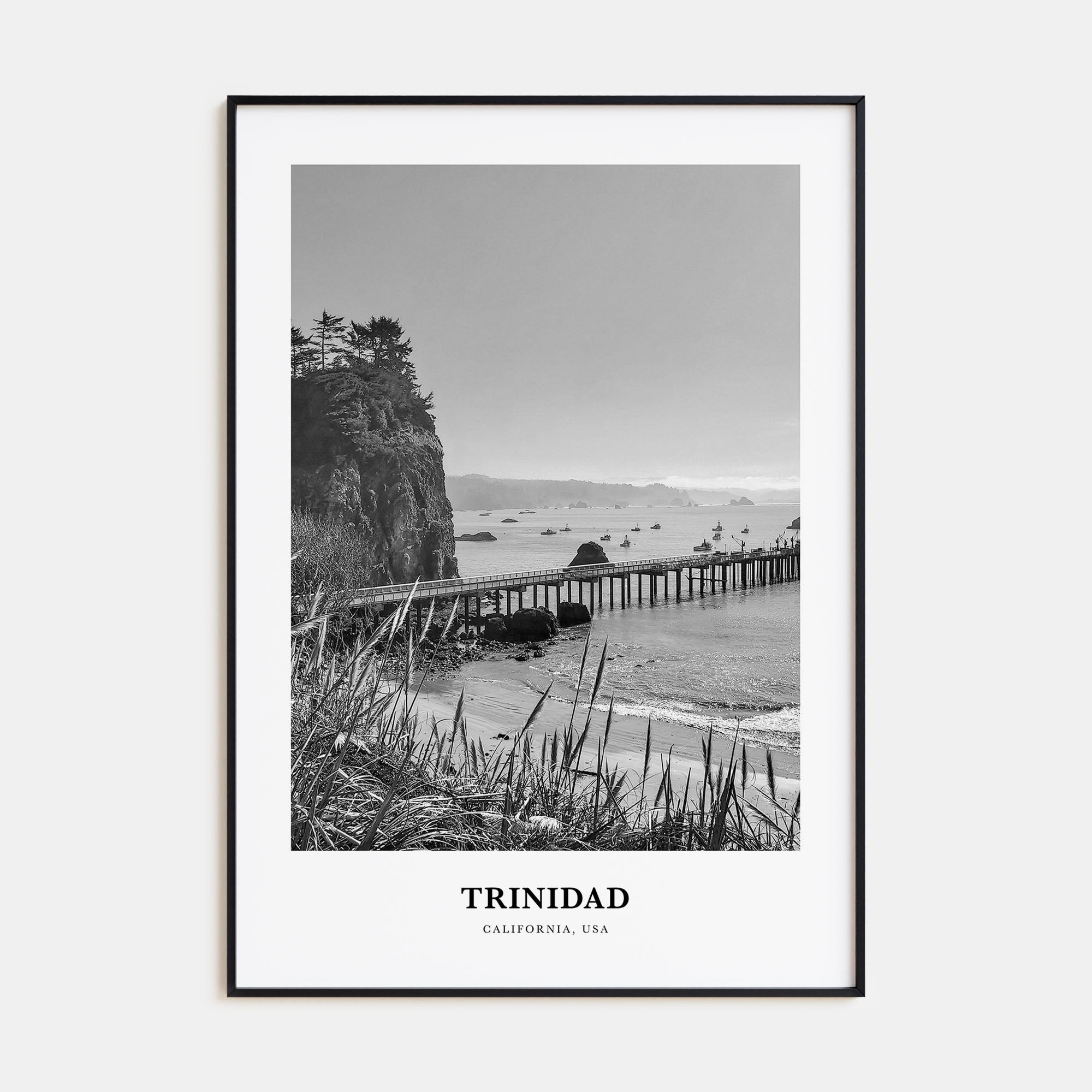 Trinidad Portrait B&W Poster