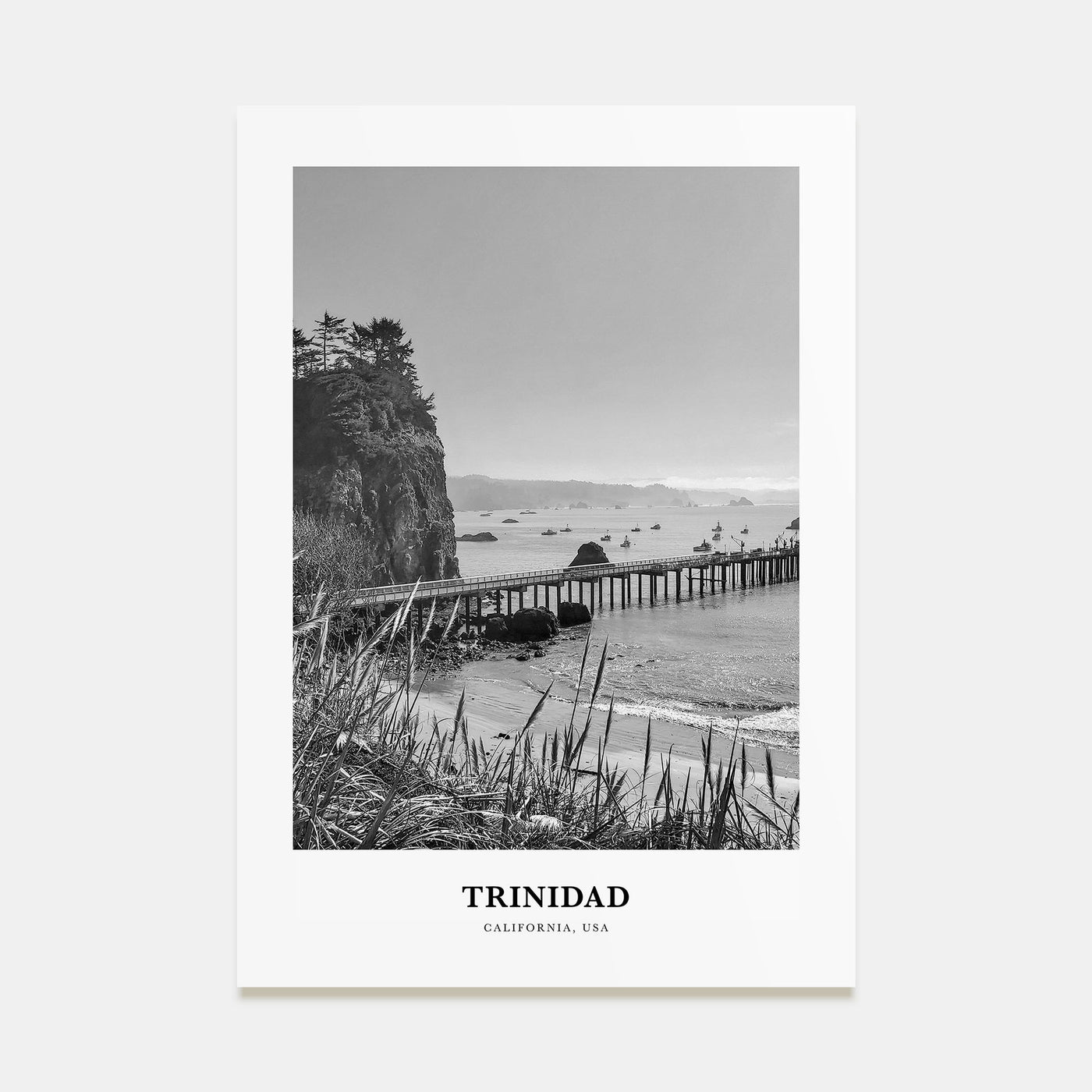 Trinidad Portrait B&W Poster