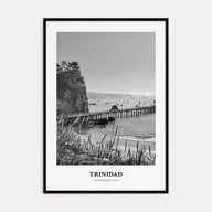 Trinidad Portrait B&W Poster