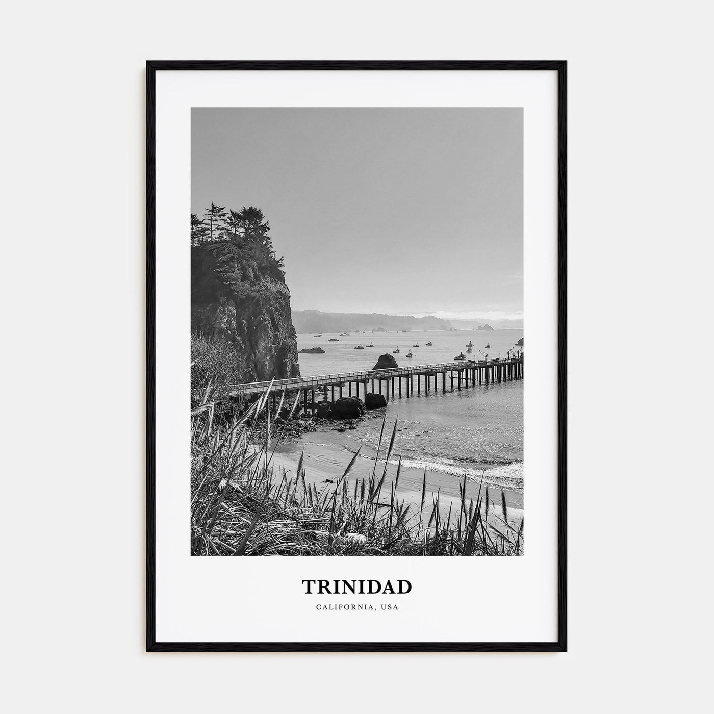Trinidad Portrait B&W Poster