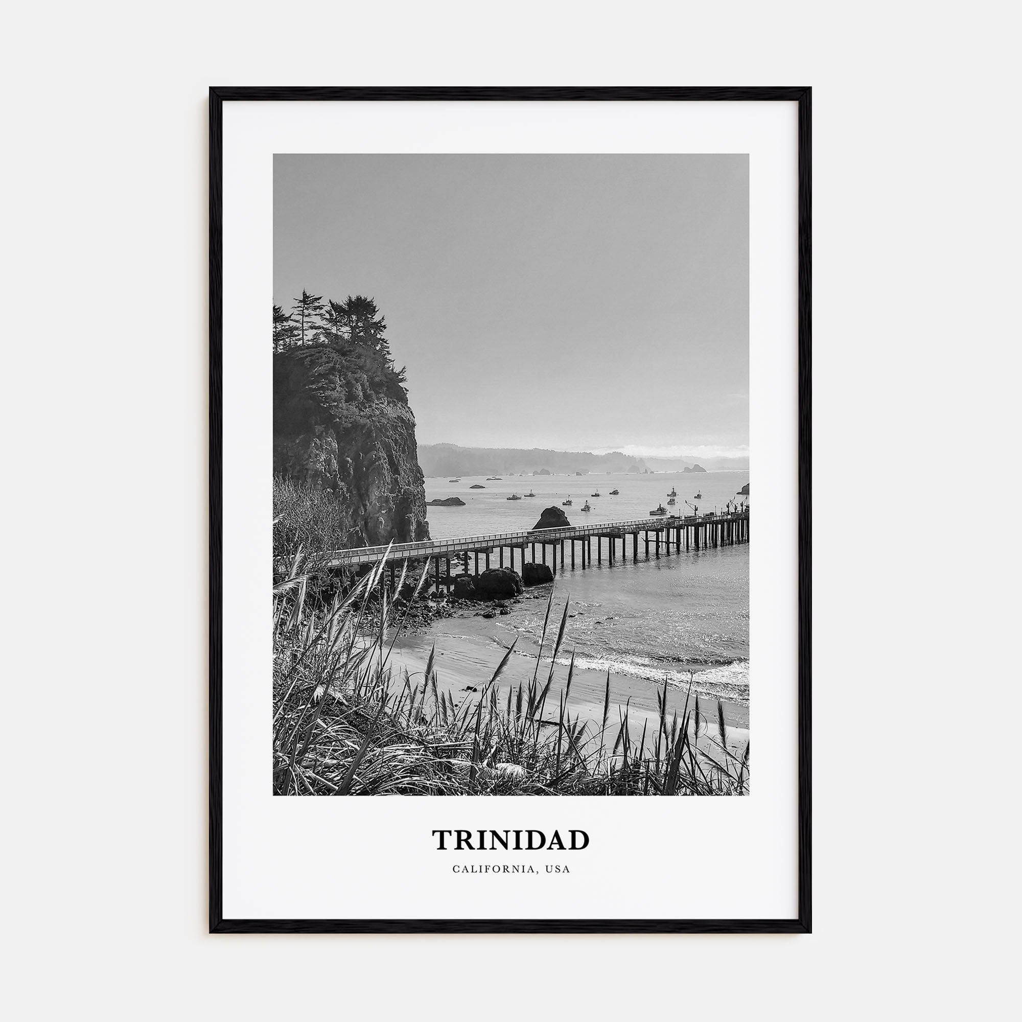 Trinidad Portrait B&W Poster
