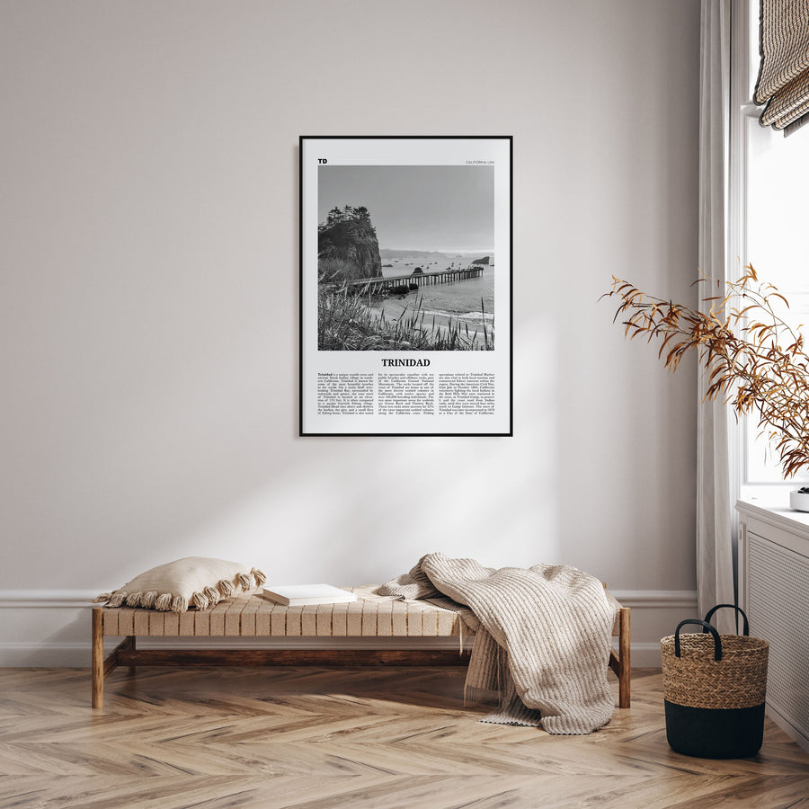 Trinidad Travel B&W Poster