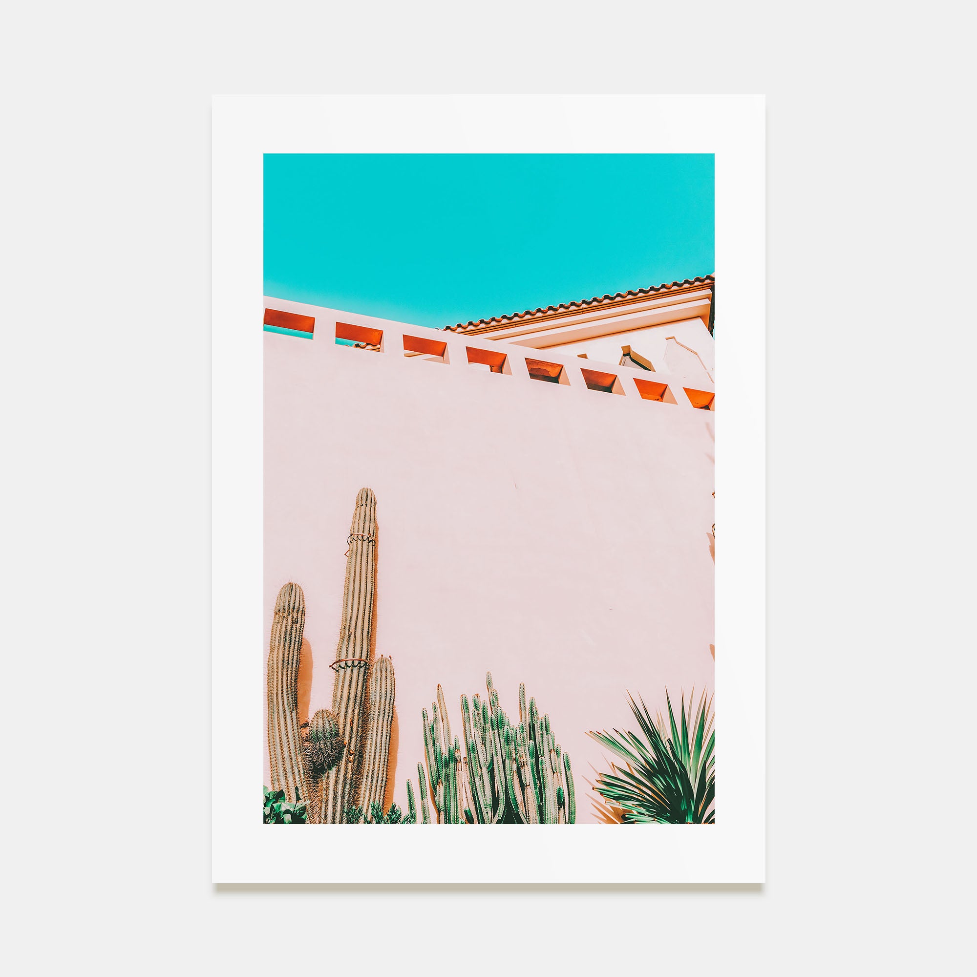 Tropical Mood Photo Color Poster