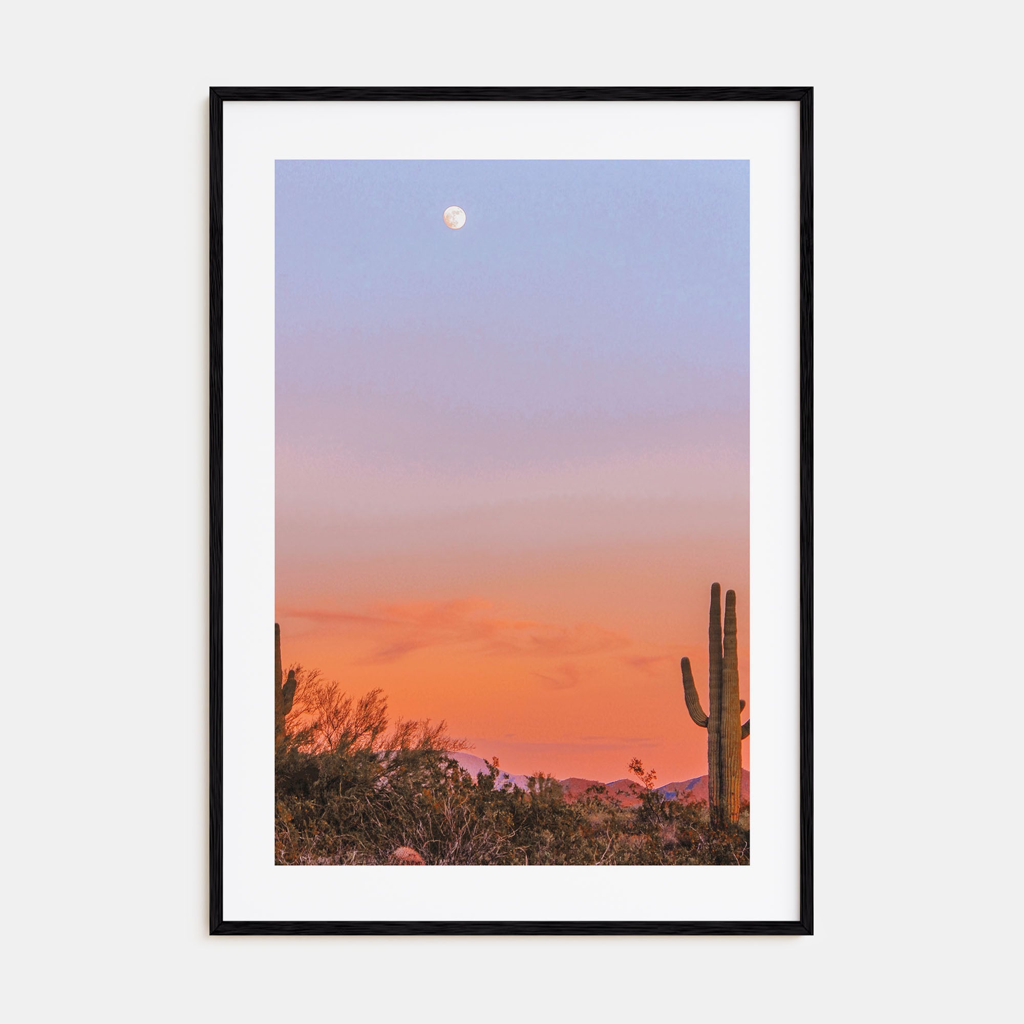 Tucson Photo Color No 3 Poster