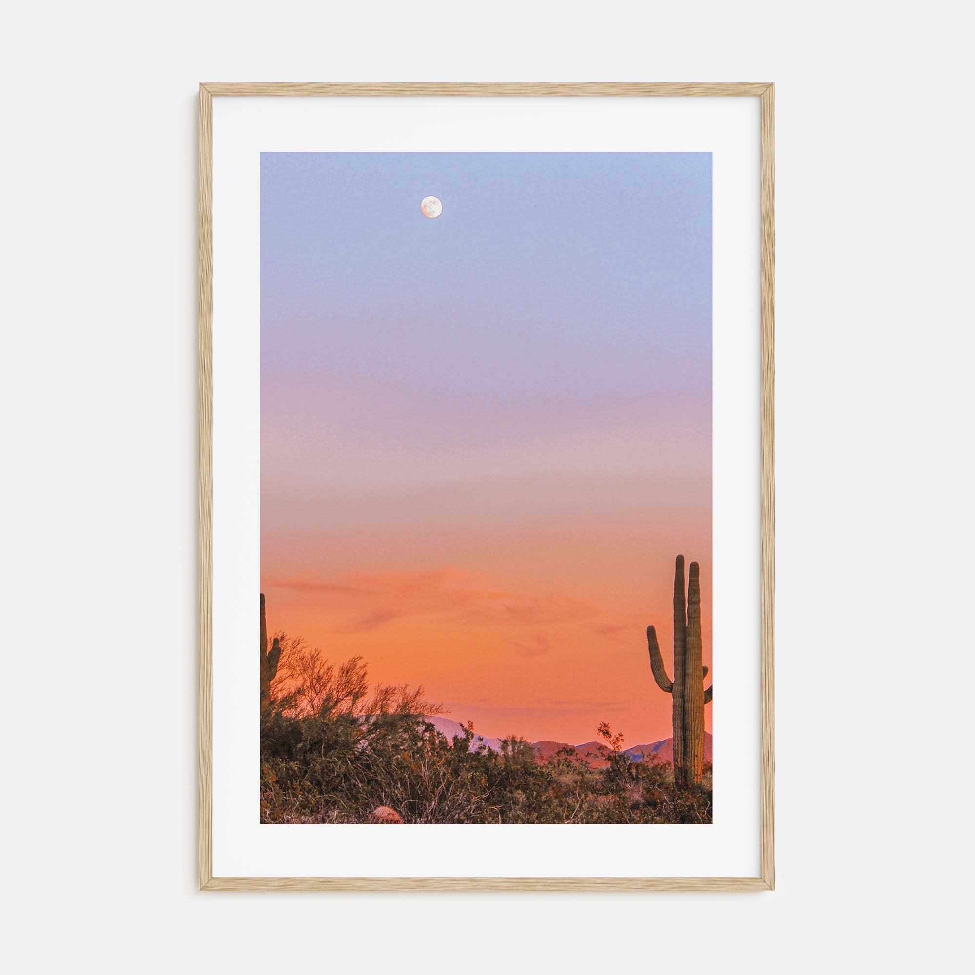 Tucson Photo Color No 3 Poster