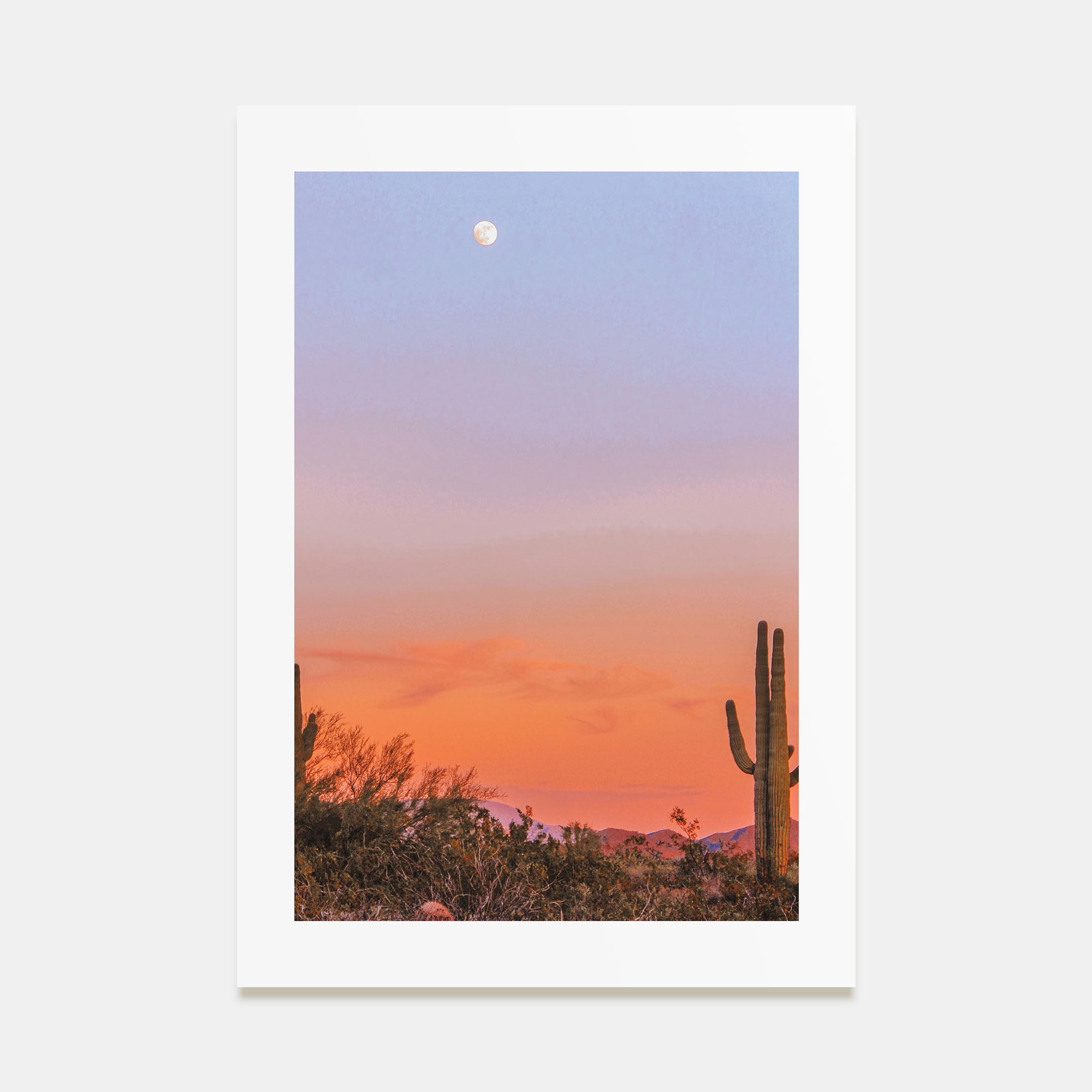 Tucson Photo Color No 3 Poster