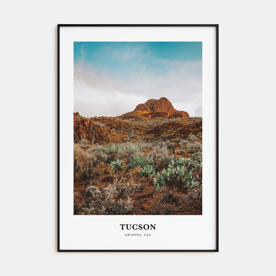 Tucson Portrait Color No 3 Poster
