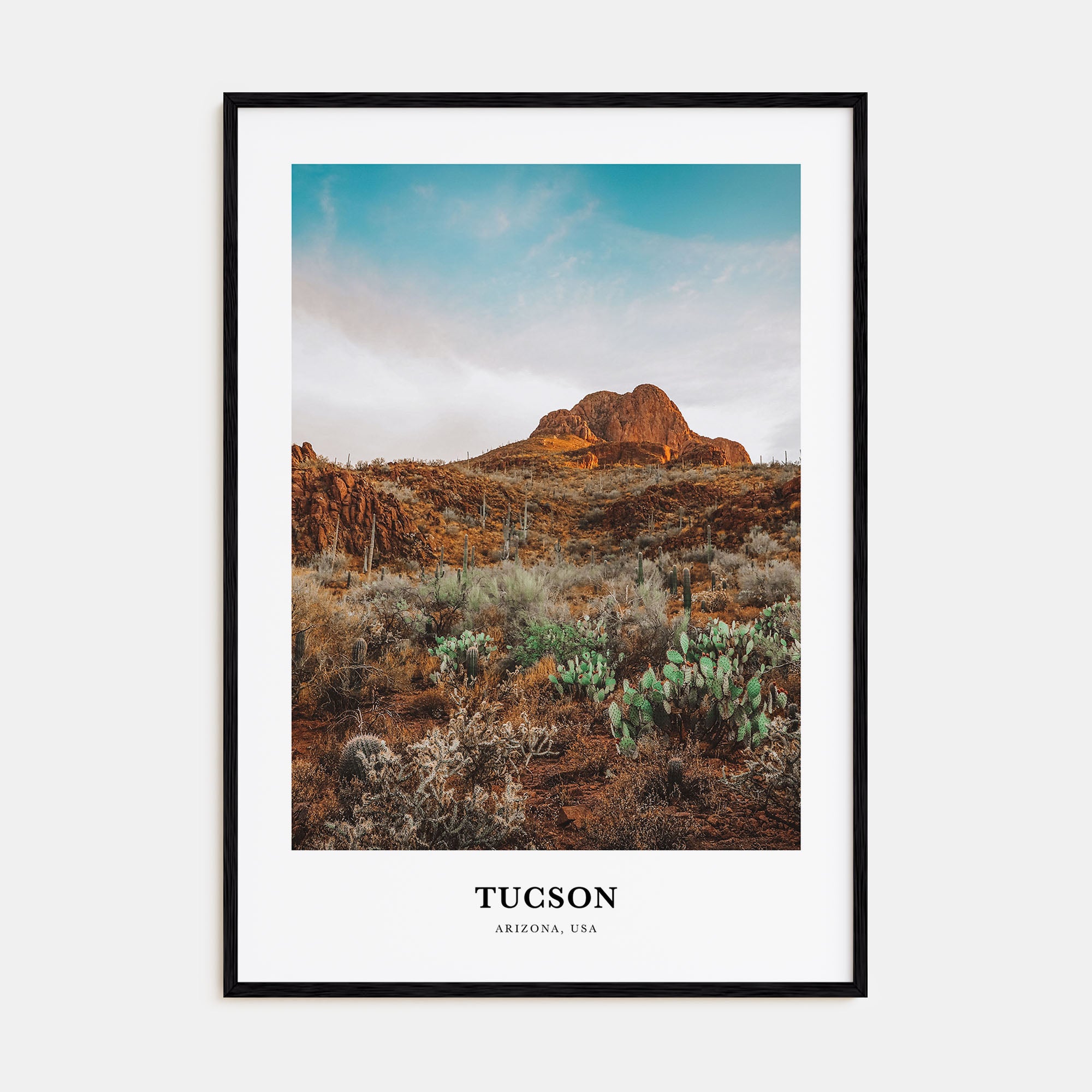 Tucson Portrait Color No 3 Poster