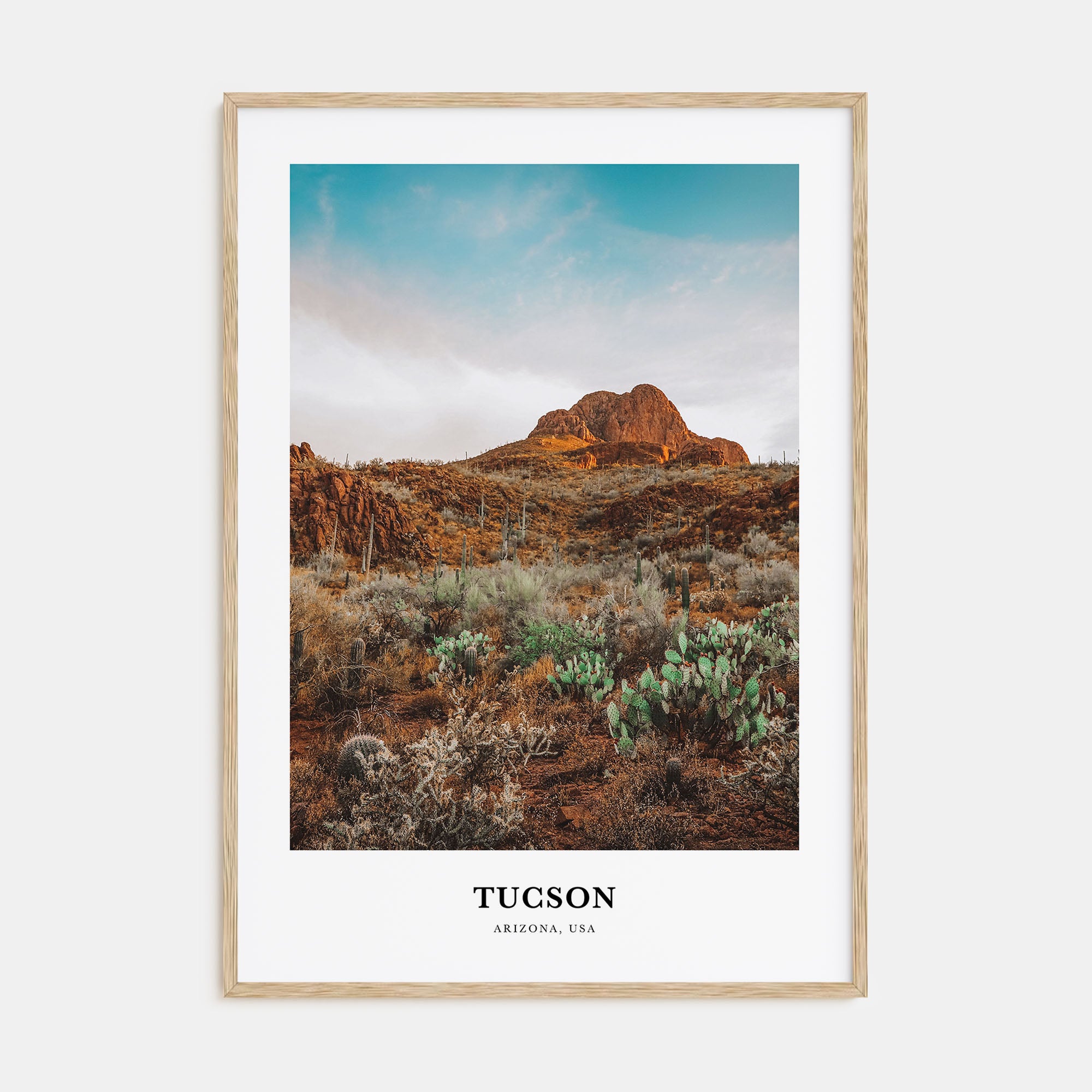 Tucson Portrait Color No 3 Poster