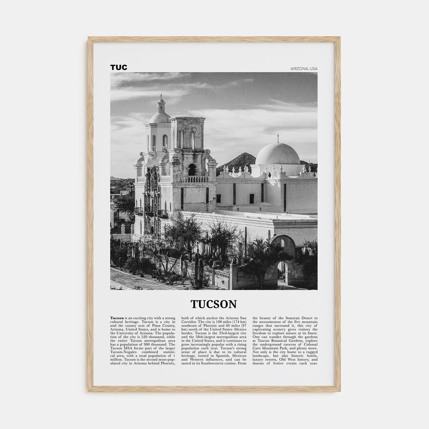 Tucson Travel B&W No 2 Poster