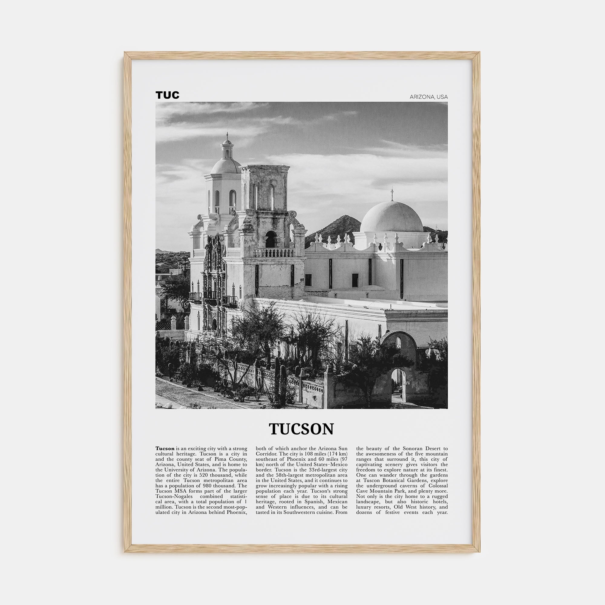 Tucson Travel B&W No 2 Poster