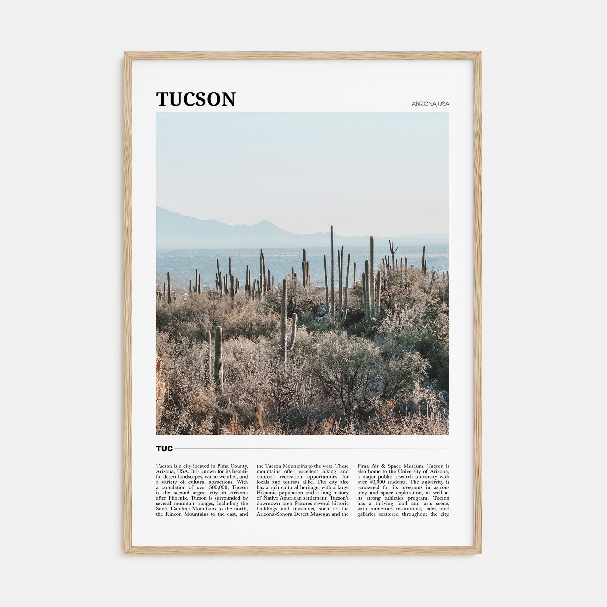 Tucson Travel Color No 1 Poster