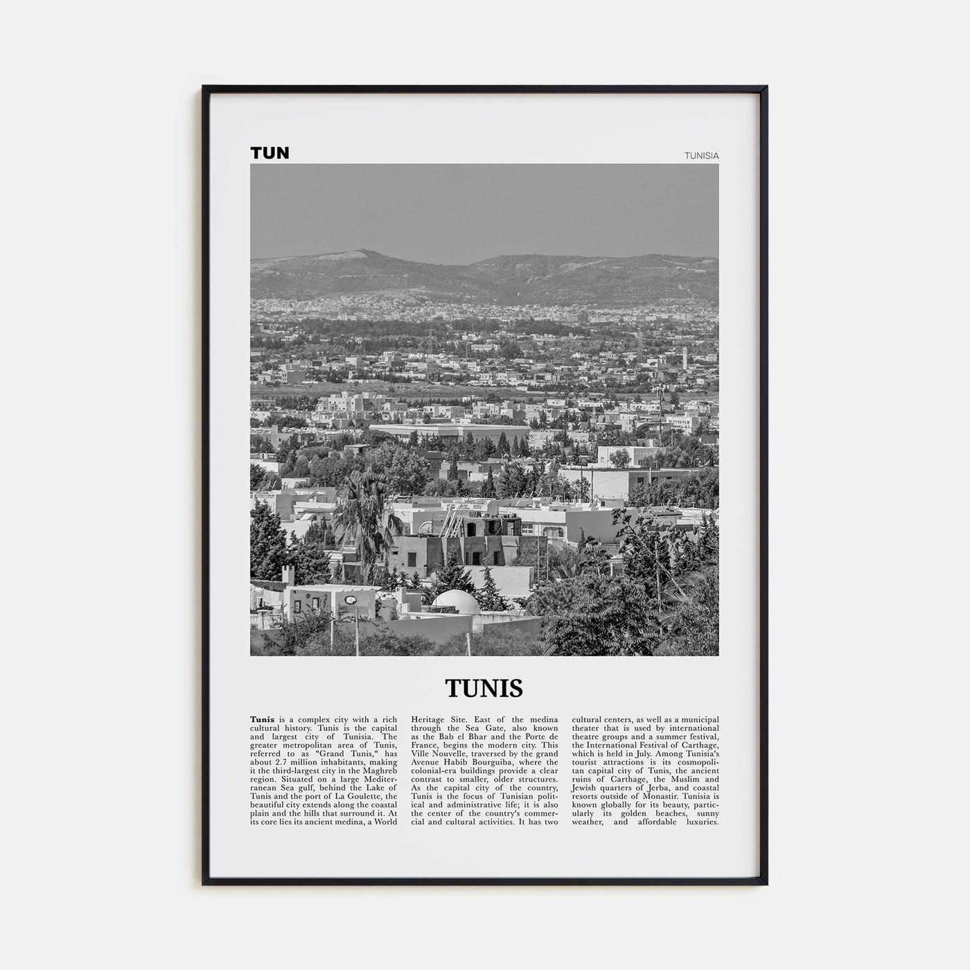 Tunis Travel B&W Poster