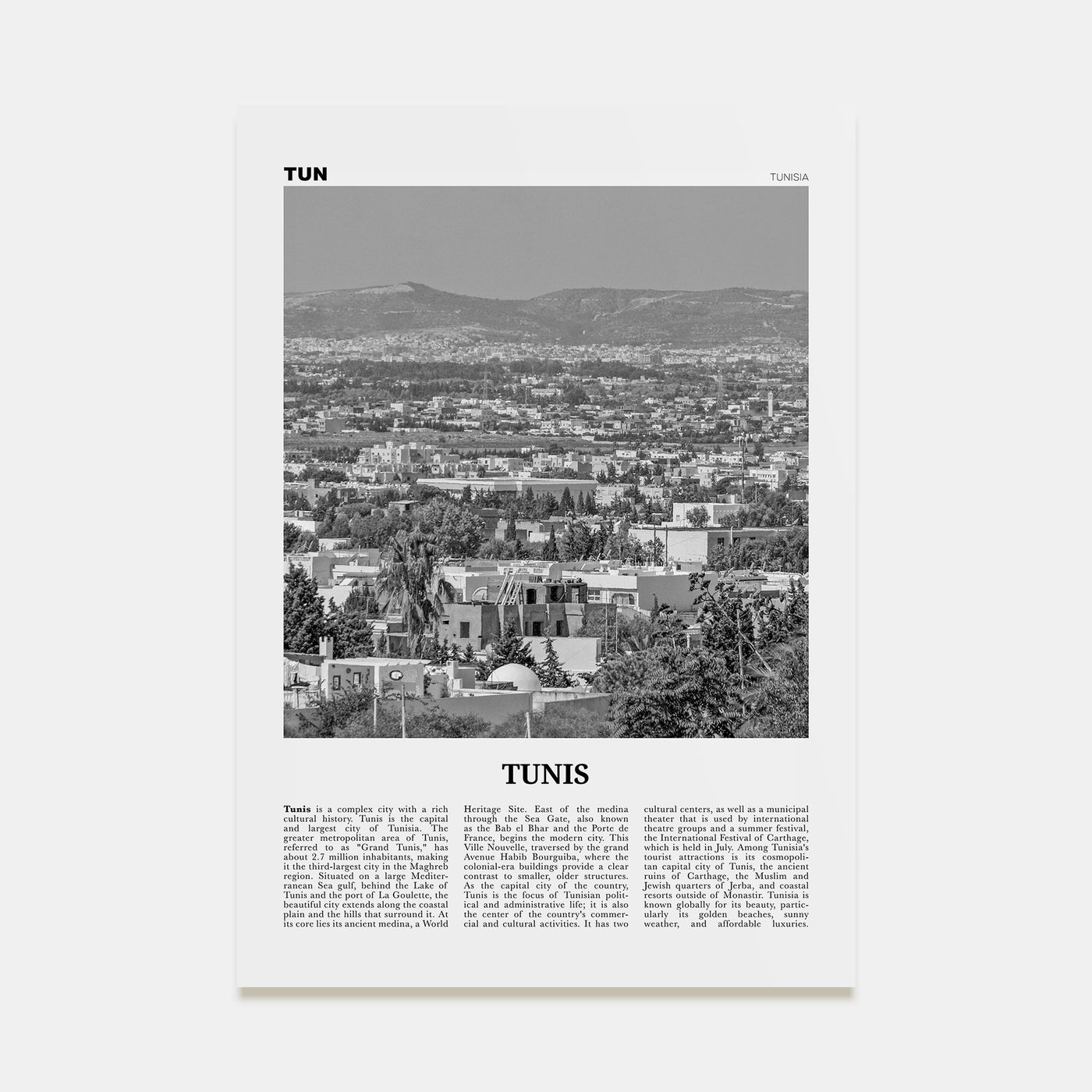 Tunis Travel B&W Poster