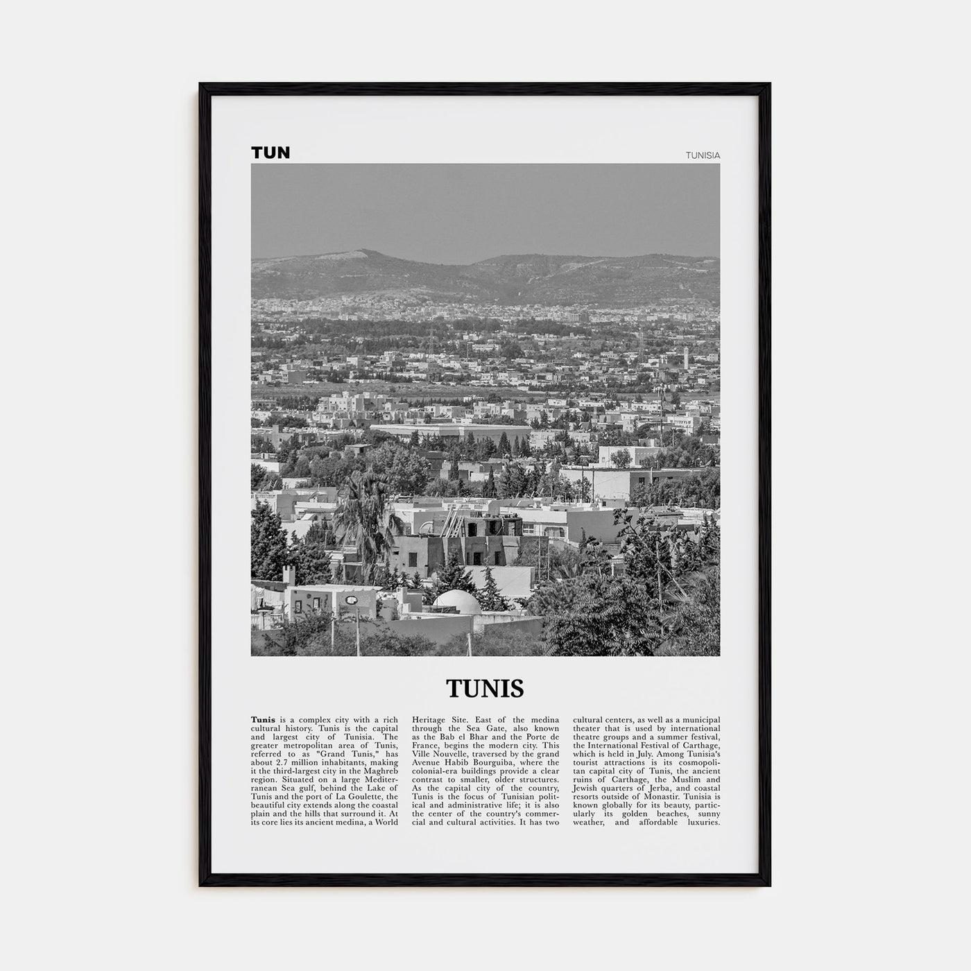 Tunis Travel B&W Poster