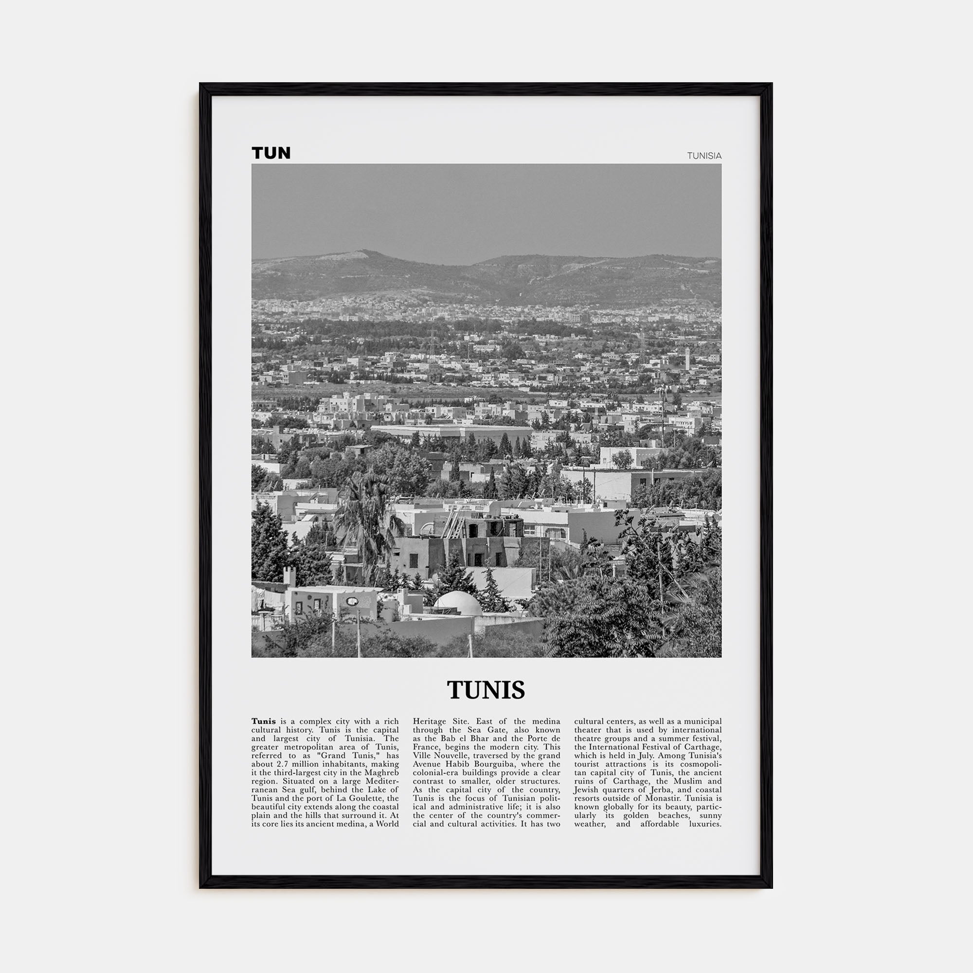 Tunis Travel B&W Poster