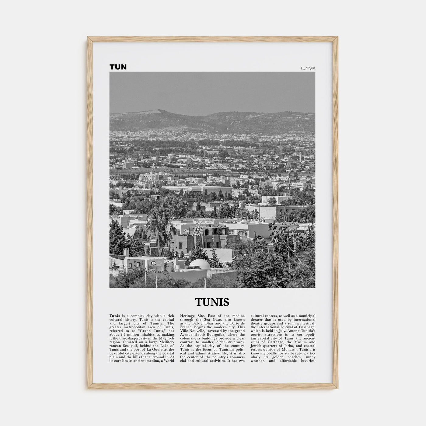 Tunis Travel B&W Poster